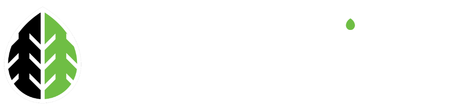 ParkMint Cloud